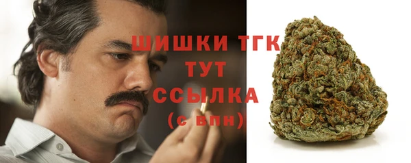 гидра Няндома