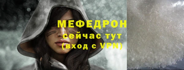 гидра Няндома