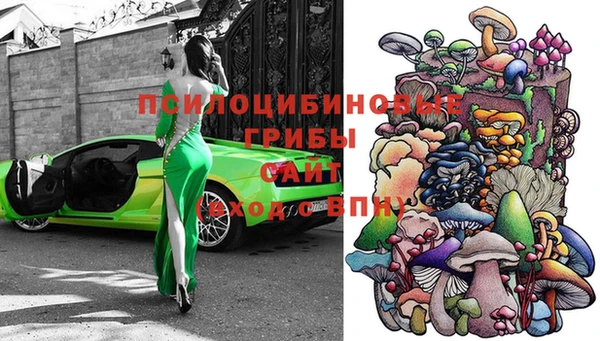 гидра Няндома