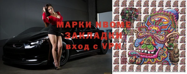 гидра Няндома