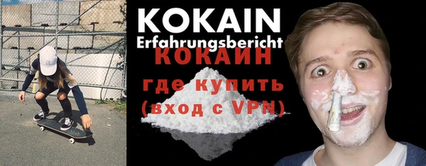 гидра Няндома