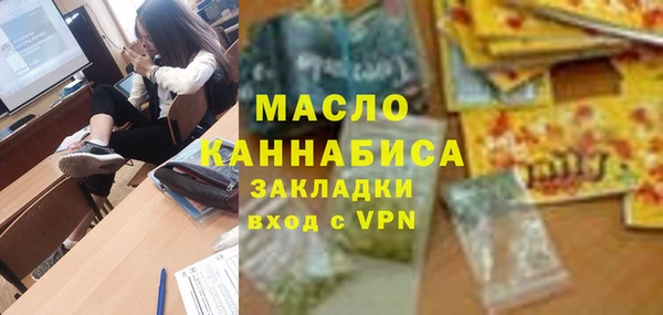 гидра Няндома