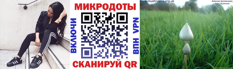 Галлюциногенные грибы GOLDEN TEACHER  Холмск 