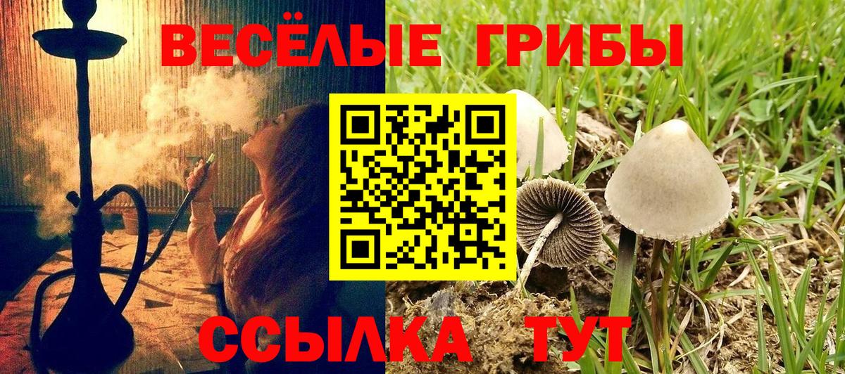 Псилоцибиновые грибы Magic Shrooms  Галлюциногенные грибы мухоморы  Холмск  Вход с VPN 