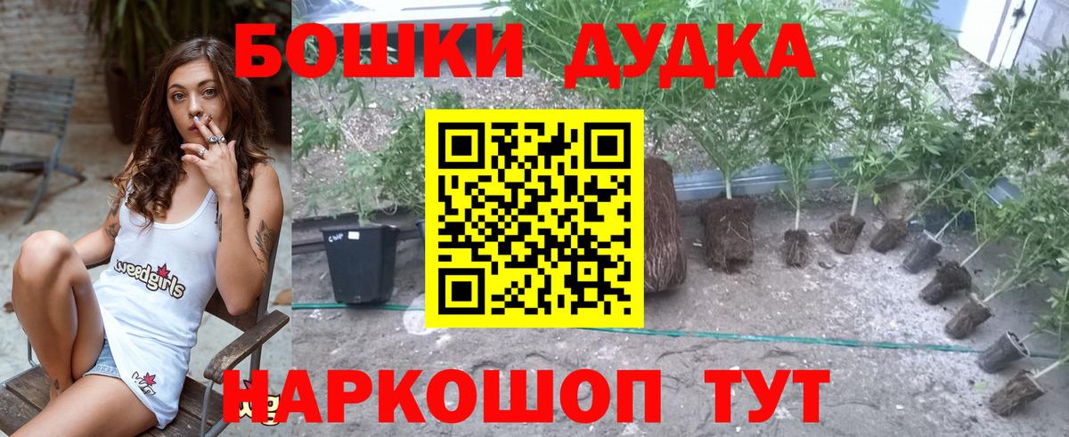 Бошки марихуана Bruce Banner  Марихуана THC 21%  Вход с VPN  Холмск 